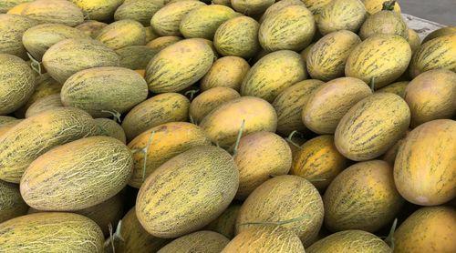 晨曦网红吃瓜链接,真相与争议并存 第3张 晨曦网红吃瓜链接,真相与争议并存 第3张